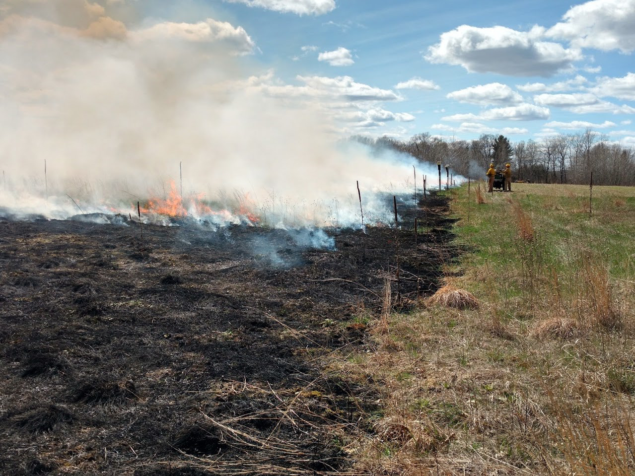 Prescribed burn undertaken at Beach Conservation easement.